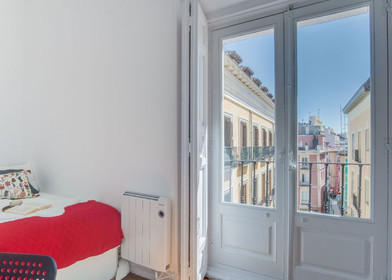 Bright private room in Madrid
