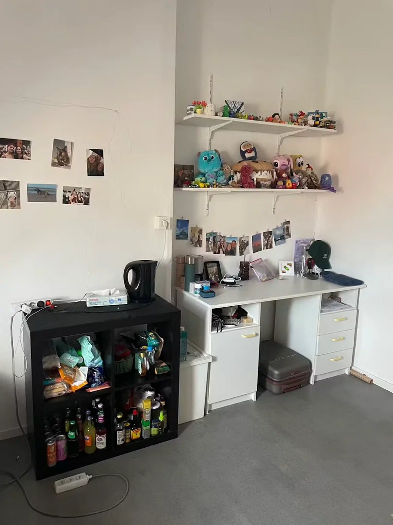 Helles und luftiges Studentenzimmer mit einfachem Zugang zur Universität in 
