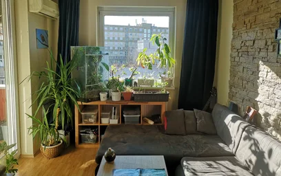 Logement entier à Szent László út, XIII. kerület, image 1 de 10