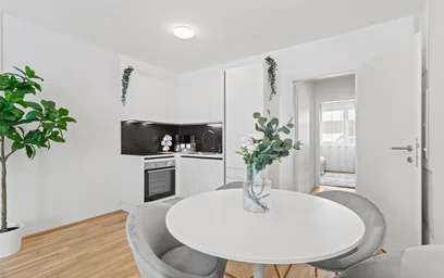 Appartamento intero in Andreas-Huger-Gasse, Donaustadt, immagine 8 di 10