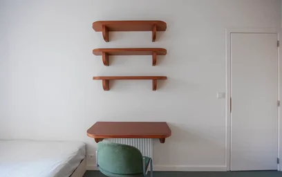 Quarto privado em Rue de la Ruche, Schaerbeek, imagem 9 de 10