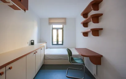 Quarto privado em Rue de la Ruche, Schaerbeek, imagem 7 de 10