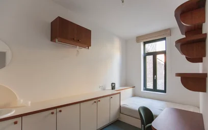 Quarto privado em Rue de la Ruche, Schaerbeek, imagem 7 de 10