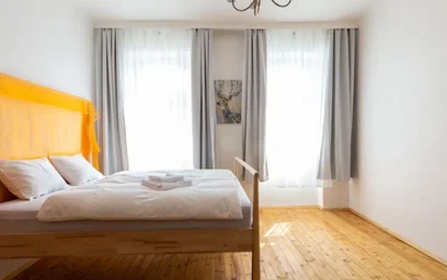 Logement entier à Oelweingasse, Rudolfsheim-Fünfhaus, image 6 de 10
