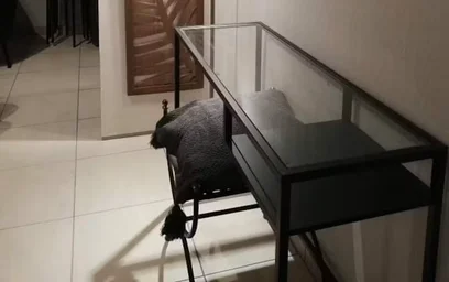 Apartamento inteiro em Chaussée de Wavre, Chasse, imagem 4 de 10
