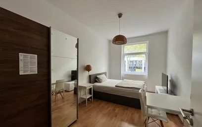Room for rent in a shared flat in {area}