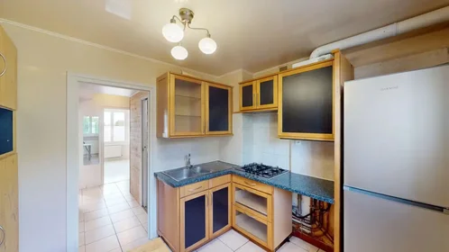Entire apartment at Rue Edmond About, Rive Droite, image 7 of 10