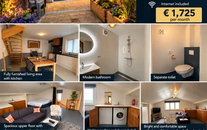 Moderne und helle Wohnung in {area}
