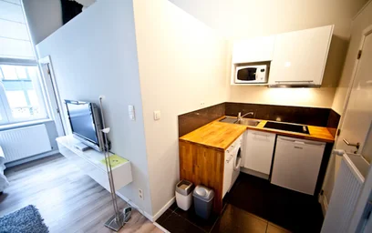 Appartamento intero in Rue de Toulouse, Quartier Europeen, immagine 6 di 7