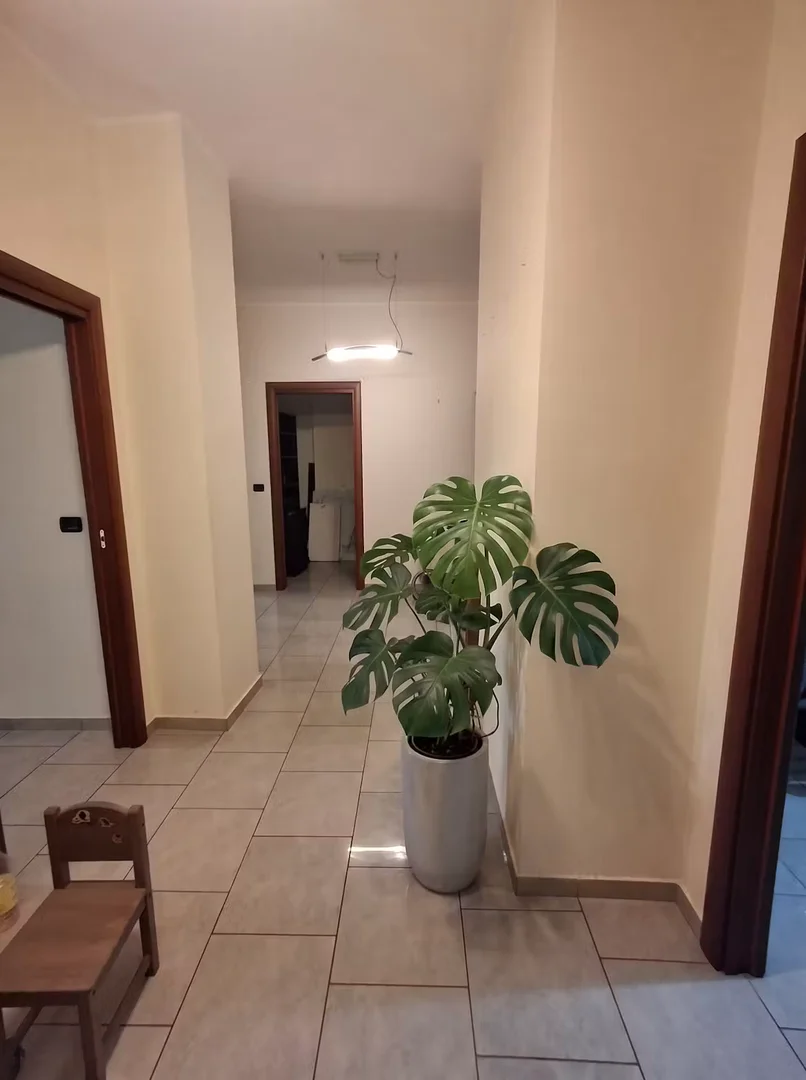 Via Varaita, Nizza Millefonti