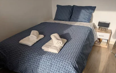 Apartamento inteiro em Rue Fleury, Oullins, imagem 2 de 10