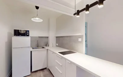 Entire apartment at Rue du Port, Delille-Cathédrale-la Gare, image 2 of 10