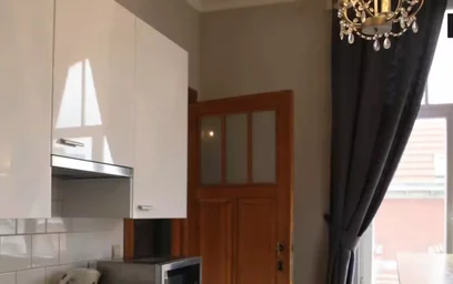 Alojamiento entero en Rue Général Gratry, Schaerbeek, imagen 5 de 10