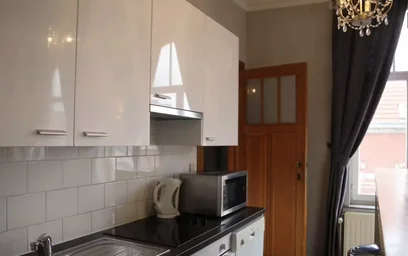 Alojamiento entero en Rue Général Gratry, Schaerbeek, imagen 6 de 10