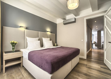 Appartamento con 2 camere da letto a Praga