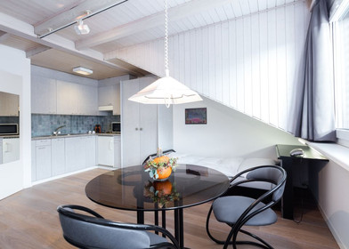 Wspaniałe mieszkanie typu studio w Basel