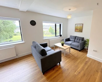 Stanza privata in 2 Kilbarry Cottages, Dublin Hill, immagine 4 di 8