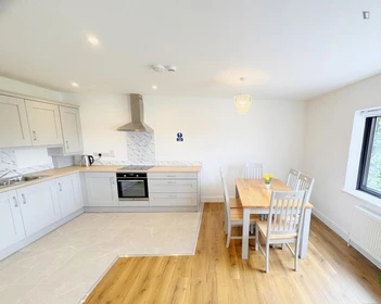 Privatzimmer in der 2 Kilbarry Cottages, Dublin Hill, bild 6 von 8