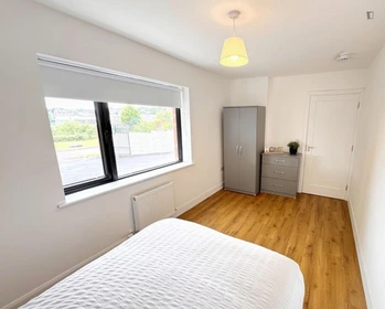 私人房间 在 2 Kilbarry Cottages, Dublin Hill, 7的图像2