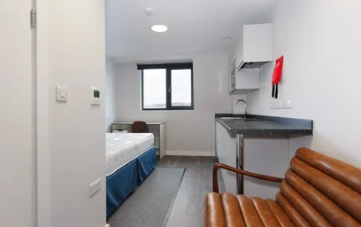 Estudio en residencia en  4A Cleveland St, Wolverhampton WV1 3HL, imagen 19 de 35