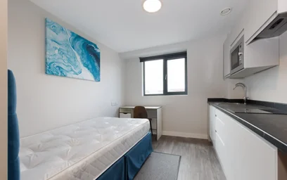 Estudio en residencia en  4A Cleveland St, Wolverhampton WV1 3HL, imagen 28 de 35