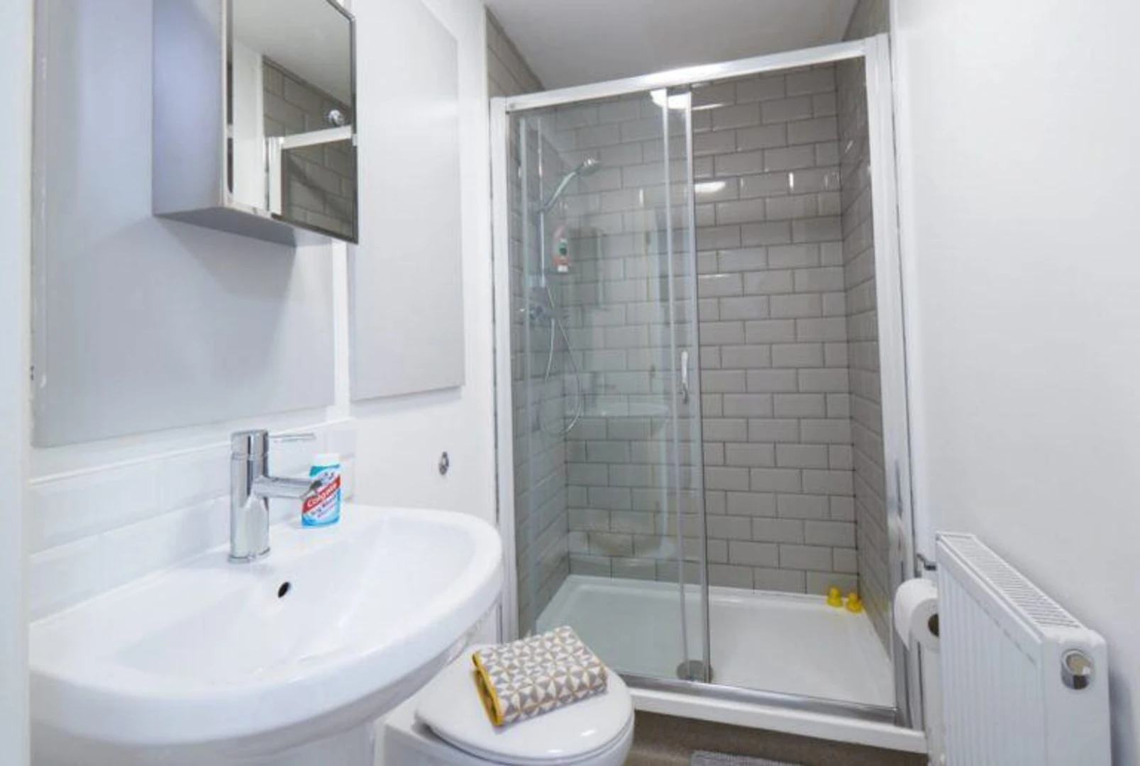 Affordable studio apartment with essential features in