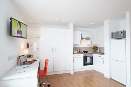 Studio in residence at 2 Hassell St, Newcastle-under-Lyme, Newcastle ST5 1AG, United Kingdom , image 15 of 18