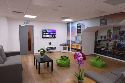 Studio in residence at 2 Hassell St, Newcastle-under-Lyme, Newcastle ST5 1AG, United Kingdom , image 8 of 18