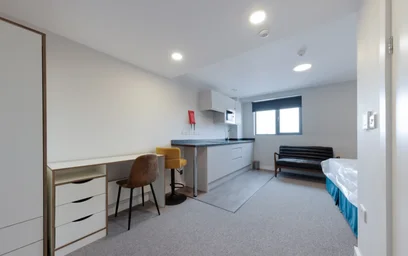 Estudio en residencia en  4A Cleveland St, Wolverhampton WV1 3HL, imagen 18 de 30