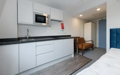Estudio en residencia en  4A Cleveland St, Wolverhampton WV1 3HL, imagen 24 de 30