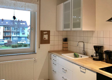 Appartamento completamente ristrutturato a Ludwigshafen Am Rhein
