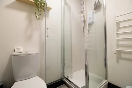 Apartamento inteiro em Saville Place 3, imagem 20 de 28