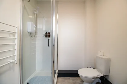 Apartamento inteiro em Saville Place 3, imagem 25 de 28