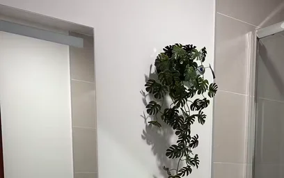 Appartamento intero in Calle San Félix, immagine 4 di 5