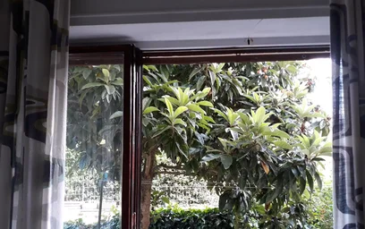 Chambre partagée à Via Giacomo di Mino il Pellicciaio, image 5 de 5