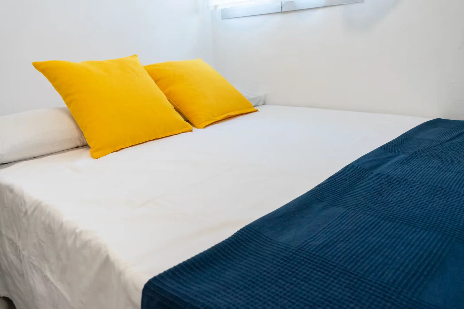 Affordable room for students with ample lighting in 