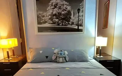 Bright private room in {area}