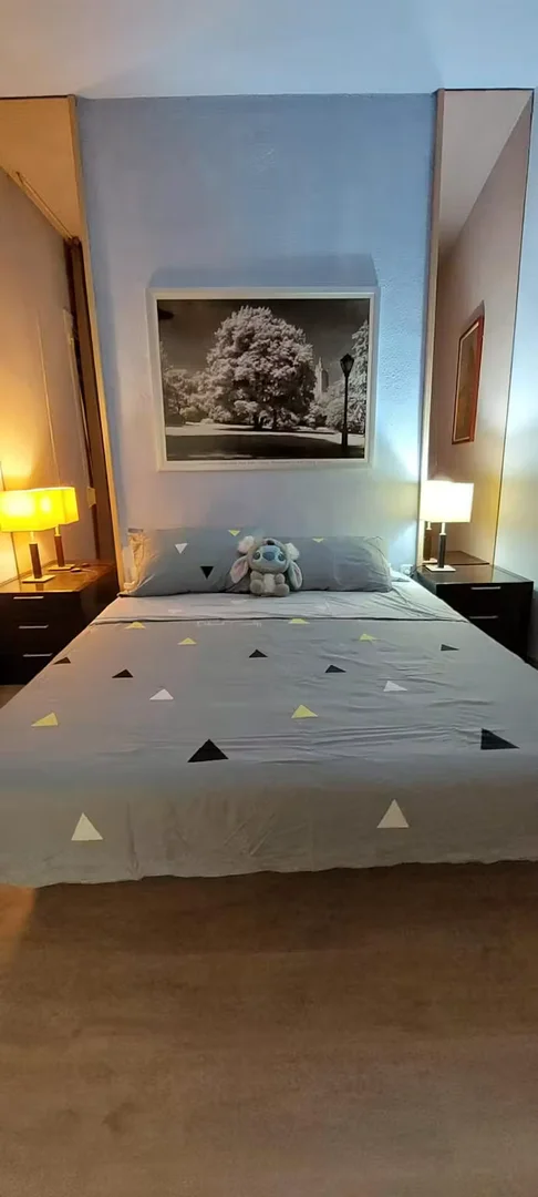 Room for rent in student apartment in , fully furnished