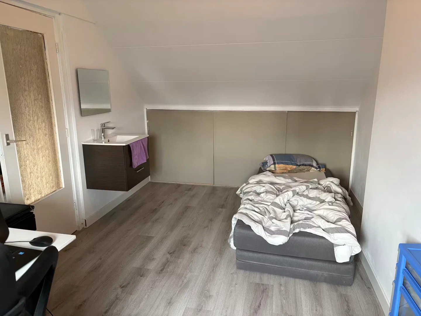 Berkenrodelaan, Randwijck