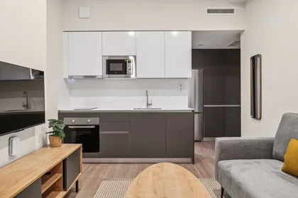 Appartamento intero in Calle de José Antonio Rebolledo y Palma, Vallecas, immagine 7 di 10