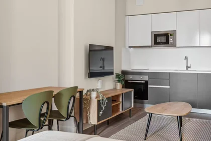 Appartamento intero in Calle de José Antonio Rebolledo y Palma, Vallecas, immagine 8 di 10