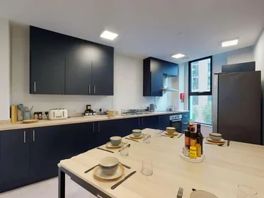 Chambre privée en résidence à Seren, 66 Alexandra Road, Swansea, SA1 5BD, United Kingdom, image 17 de 31