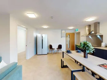 Chambre privée en résidence à Seren, 66 Alexandra Road, Swansea, SA1 5BD, United Kingdom, image 19 de 31