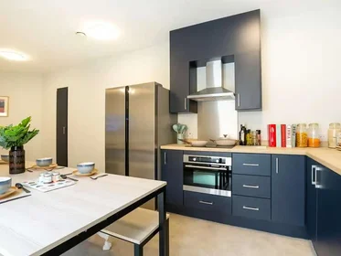 Privatzimmer im Wohnheim in der Seren, 66 Alexandra Road, Swansea, SA1 5BD, United Kingdom, bild 10 von 39