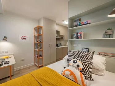 Privatzimmer im Wohnheim in der Seren, 66 Alexandra Road, Swansea, SA1 5BD, United Kingdom, bild 11 von 39