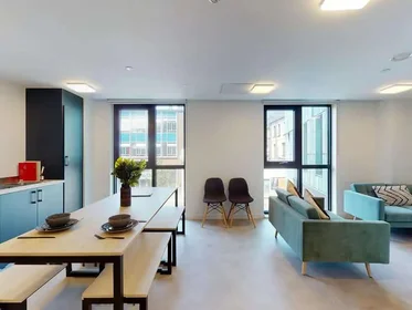 Privatzimmer im Wohnheim in der Seren, 66 Alexandra Road, Swansea, SA1 5BD, United Kingdom, bild 19 von 39