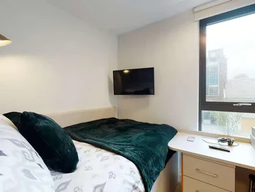 Privatzimmer im Wohnheim in der Seren, 66 Alexandra Road, Swansea, SA1 5BD, United Kingdom, bild 22 von 39