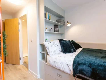 Privatzimmer im Wohnheim in der Seren, 66 Alexandra Road, Swansea, SA1 5BD, United Kingdom, bild 32 von 39