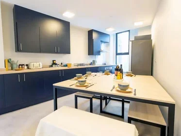 Privatzimmer im Wohnheim in der Seren, 66 Alexandra Road, Swansea, SA1 5BD, United Kingdom, bild 33 von 39