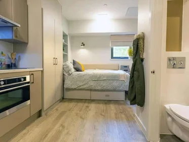 Privatzimmer im Wohnheim in der Seren, 66 Alexandra Road, Swansea, SA1 5BD, United Kingdom, bild 34 von 39